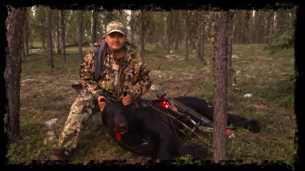 2021 black bear hunt with a compound bow