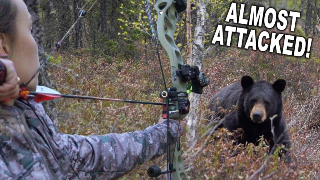 Archery Bear Kill at 7 YARDS!