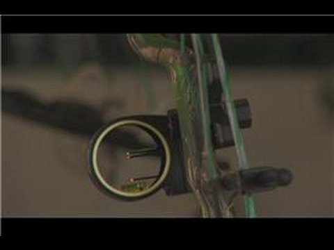 Archery & Bow Hunting : How to Use a Sight on a Bow