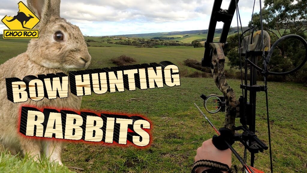 BOW HUNTING RABBITS – South Australia