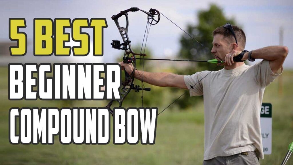 Best Beginner Compound Bow | Top 5 Picks For Hunting & Target Shooting