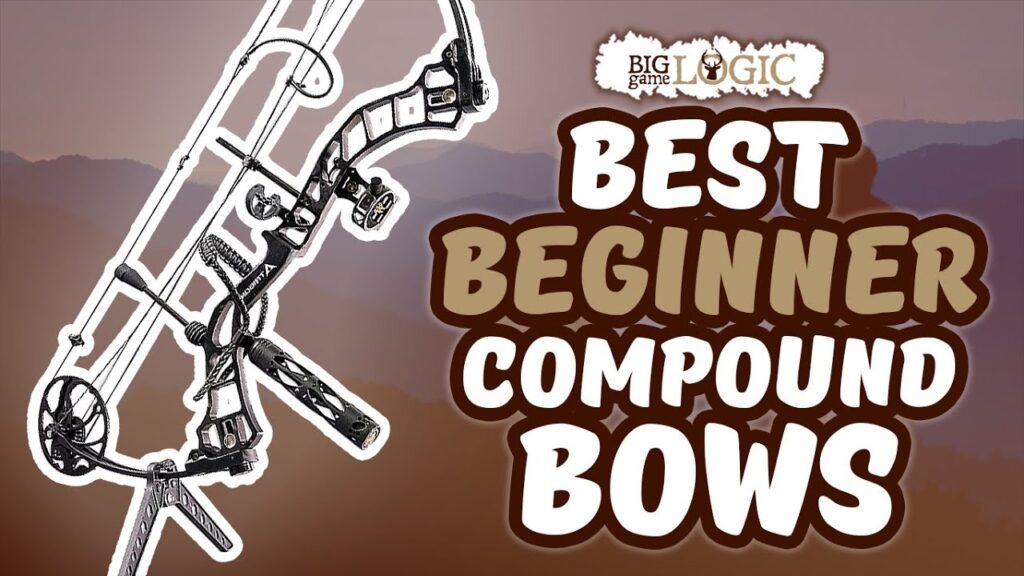Best Beginner Compound Bows 🏹: 2020 Buyer’s Guide | Big Game Logic