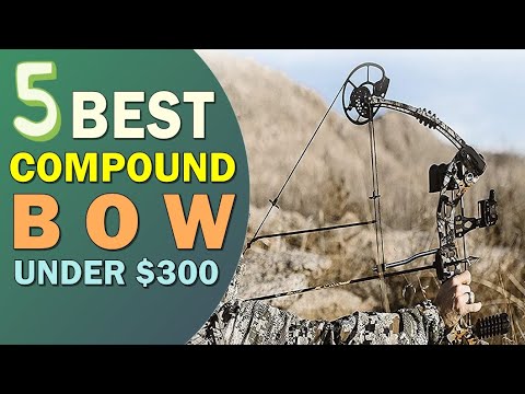 Best Compound Bow 2021 👌 Top 5 Best Compound Bow under $300