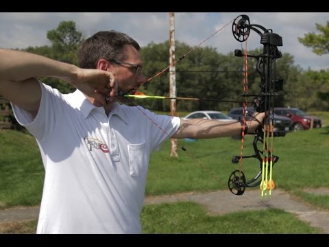 Best Hunting Bow On A Budget: 5 Bow Shootout