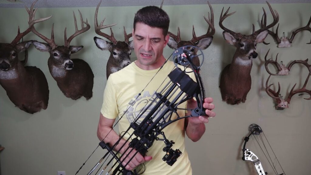 Best Inexpensive Quiver for Compound Bow