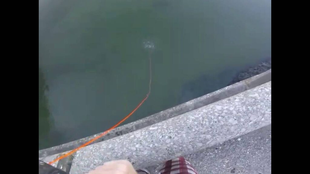 Bowfishing sniper head shot from a dam