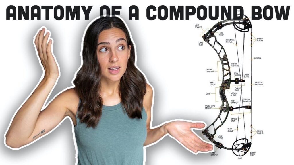 COMPOUND BOW 101 – Things To Know!