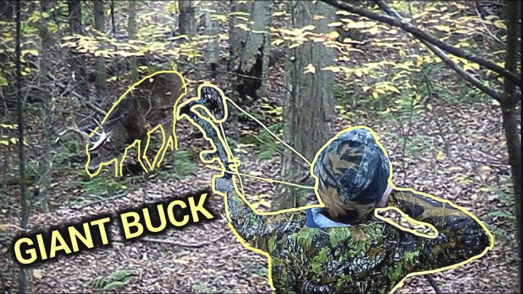 Giant Buck!! 2021, PA Archery Hunting (compound bow)