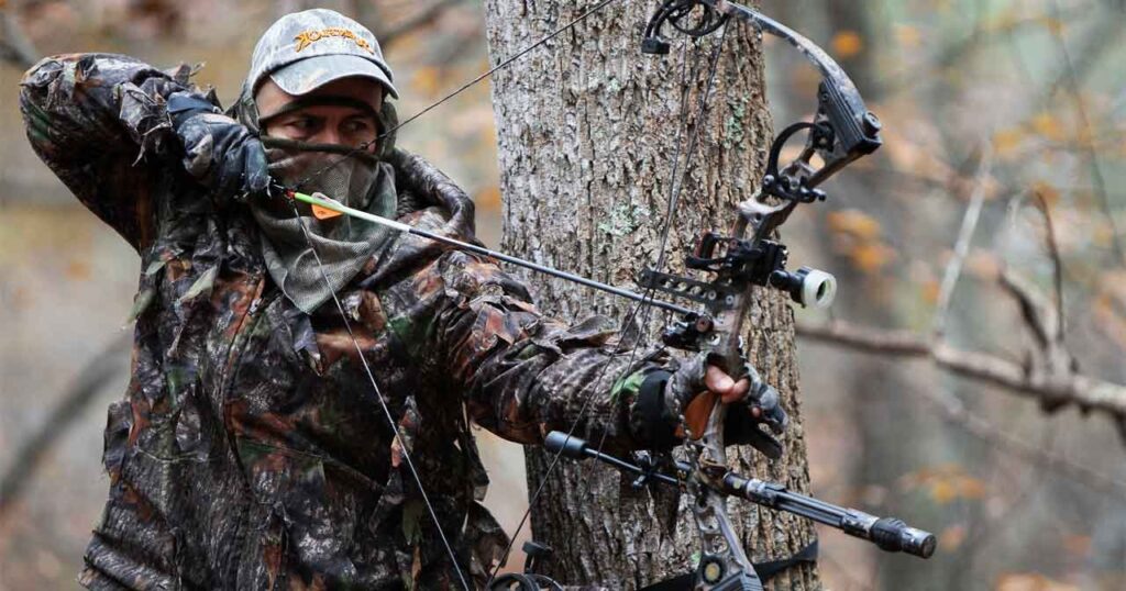 How Much Draw Weight To Kill A Whitetail Deer