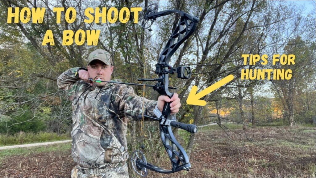 How to Shoot A Compound Bow for New Bow Hunters
