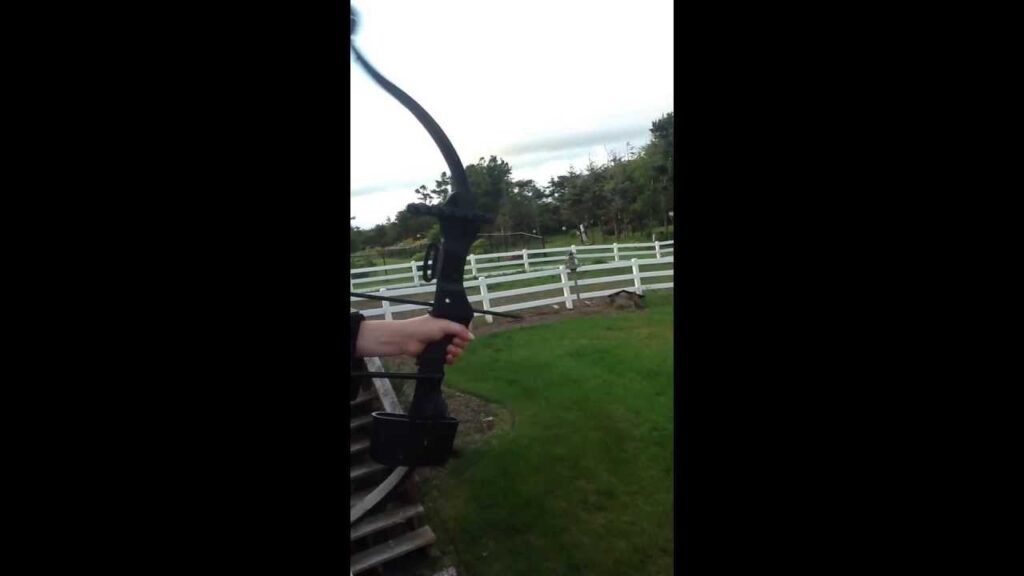 Jr elkhorn compound bow review and shooting