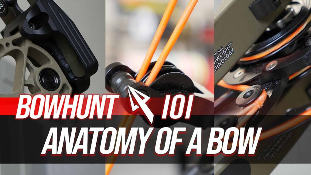 Learn the Anatomy of a Compound Bow | Bowhunt 101