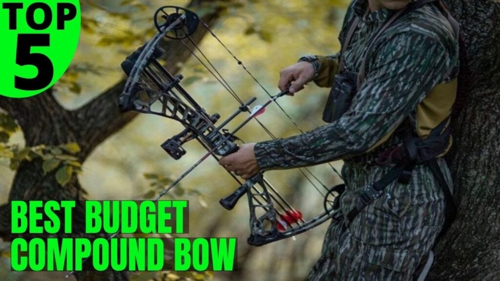Top 5 Best Budget Compound Bow : Bowhunting For 2021