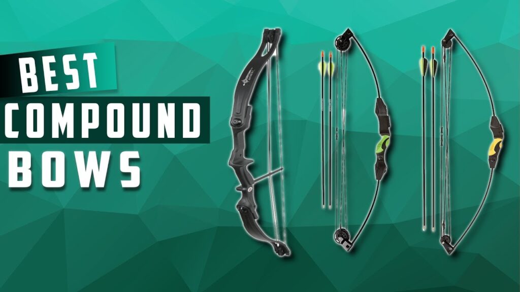 Top 5 Best Compound Bows You Can Buy Right Now In 2021 – Review And Buying Guide