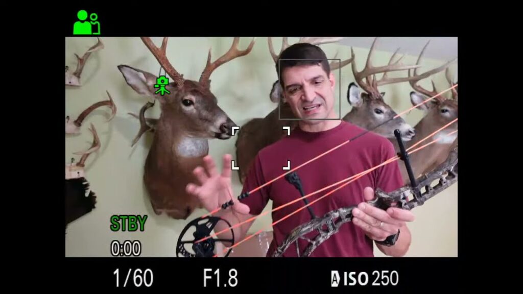 Unboxing New Bear Compound Bows